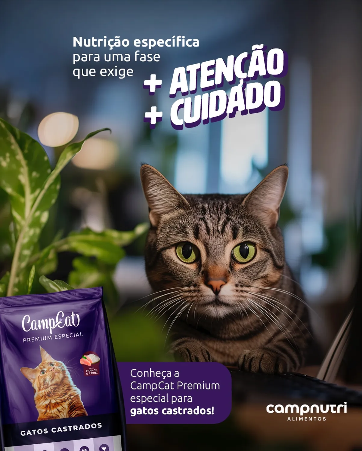 RAÇÃO PARA GATOS CAMP CAT CASTRADOS PREMIUM ESPECIAL FRANGO E ARROZ KG