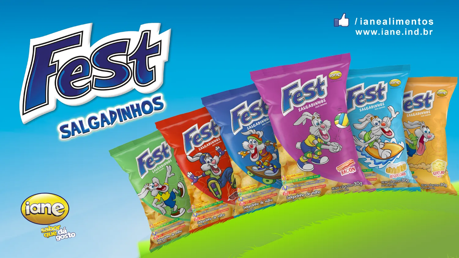 SALGADINHO IANE FEST GALINHA 30G