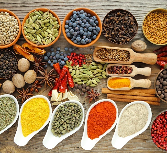 TEMPEROS SABOR CASEIRO 20G