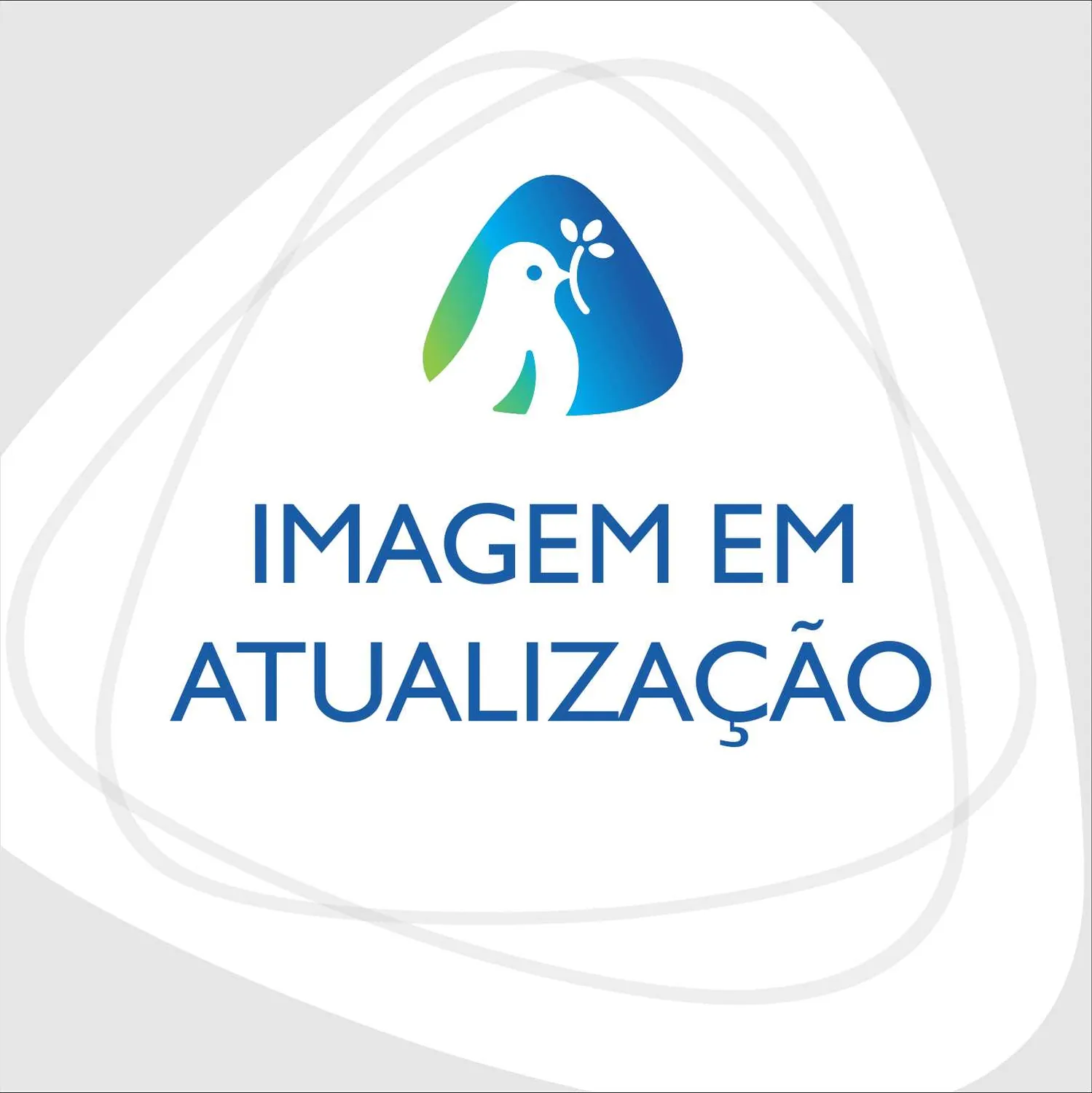 CANJIQUINHA SAO BRAZ 200GR CURAU