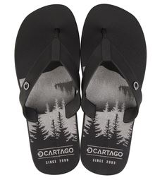 CHINELO CARTAGO ATLANTA PRETO MASC ADULTO 11840AS401 GRENDENE