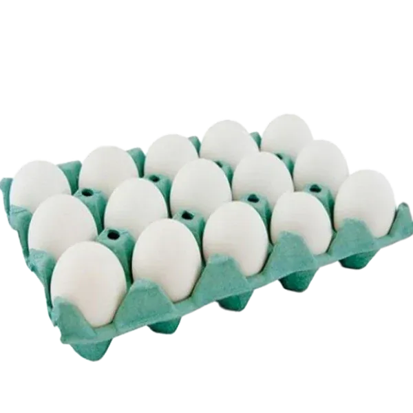 OVOS BRANCO SANTA CLARA BANDEJA COM 15 UNIDADE