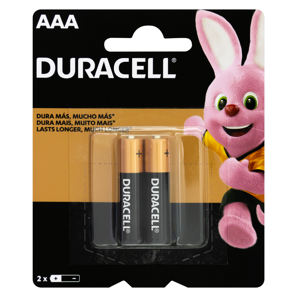 PILHA DURACELL ALCALINA 2UN AAA PALITO