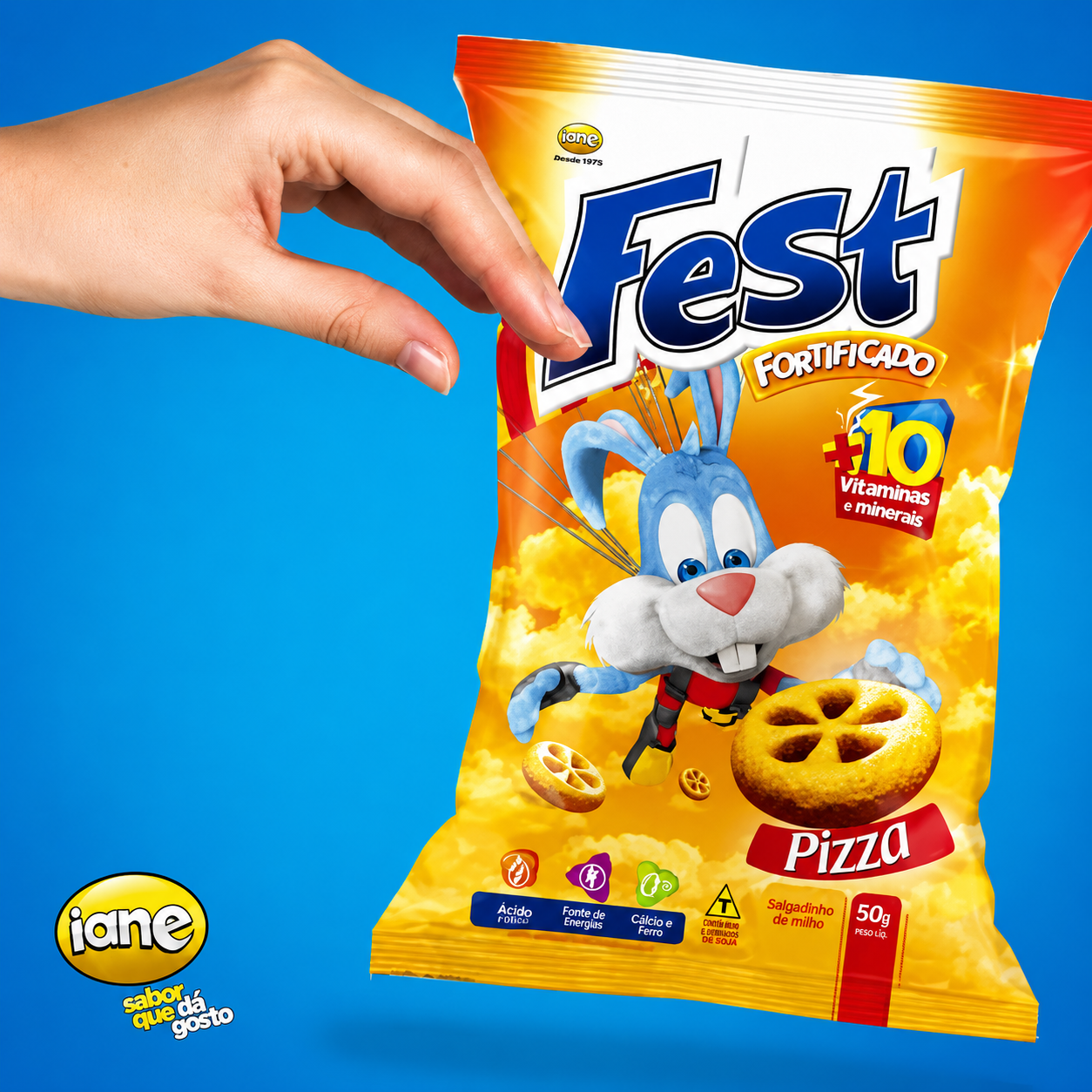SALGADINHO IANE FEST FORTIFICADO PIZZA 50G