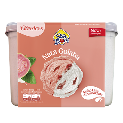 SORVETE STER BOM 2L SABORES