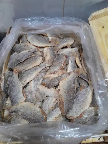 PEIXE CASTANHA SALGADA