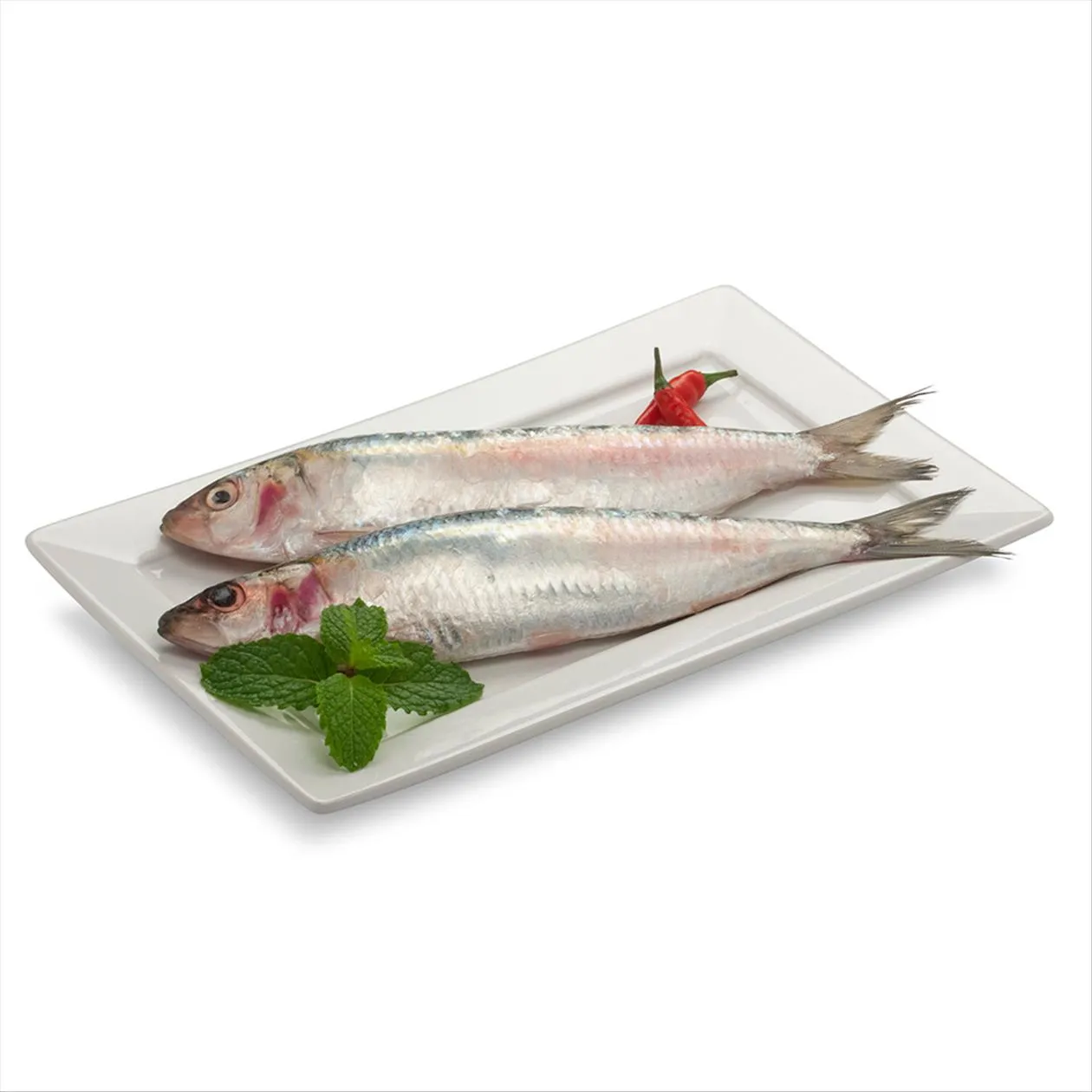 SARDINHA INT CONG KG 0