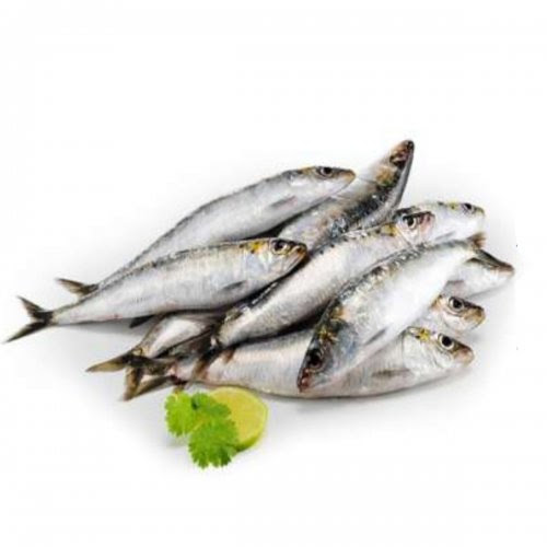 SARDINHA LAJE EVIS A GRANEL KG 0